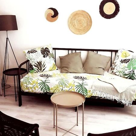 Studio Coquet Avec Vue Sainte-Foy-les-Lyon Ngoại thất bức ảnh