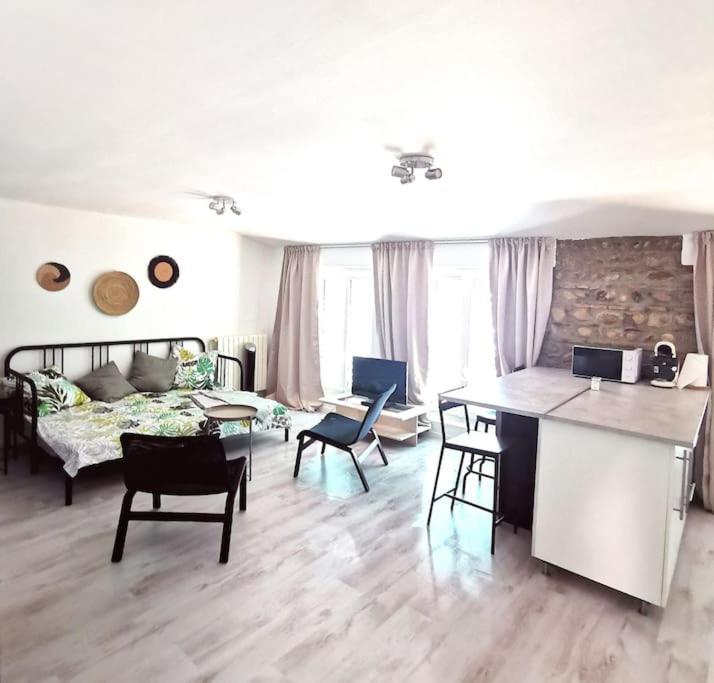Studio Coquet Avec Vue Sainte-Foy-les-Lyon Ngoại thất bức ảnh