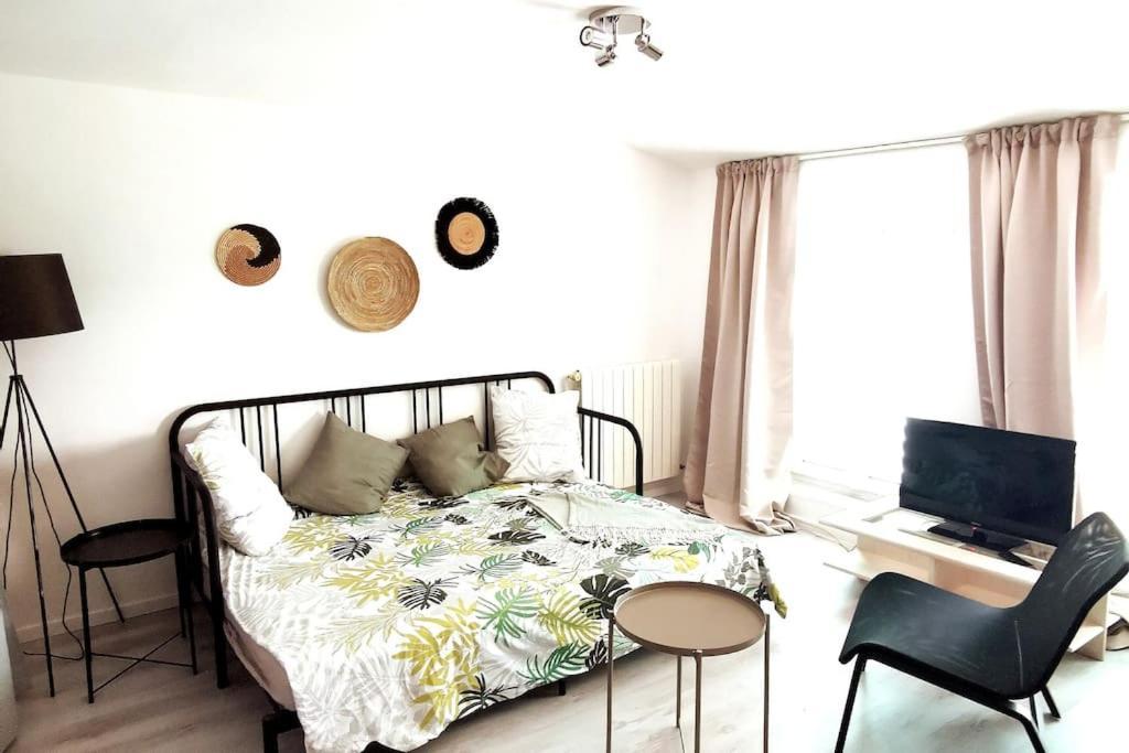 Studio Coquet Avec Vue Sainte-Foy-les-Lyon Ngoại thất bức ảnh
