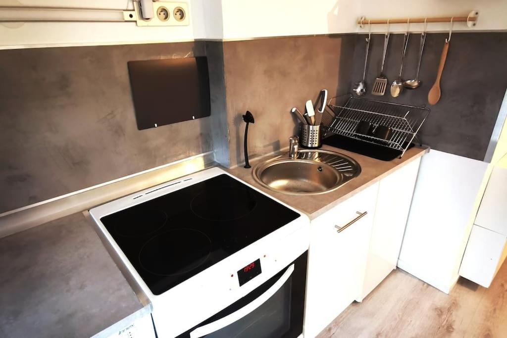 Studio Coquet Avec Vue Sainte-Foy-les-Lyon Ngoại thất bức ảnh